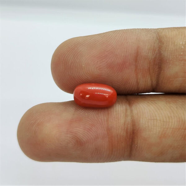 Natural  Stone Natural ( lal moonga ) Italian Capsule Cut Munga Gemstone 2.25 Ct to 15 Ct - Image 2
